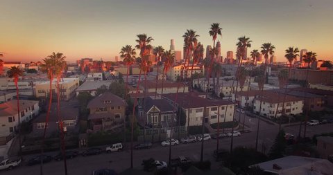 Beautiful aerial view of downtown Los Angeles skyline revealing through row of palm trees. 4K UHD.