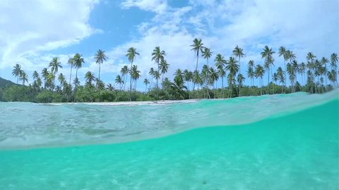 SLOW MOTION HALF UNDERWATER: Amazing crystal clear ocean lagoon in front of exotic white sandy beach with tall lush palm trees growing on tropical island in sunny summer