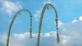 Pair of traditional. Balinese Penjors; offerings to ancestral spirits suspended on the ends of long bamboo poles. standing against the sky. Video UltraHD