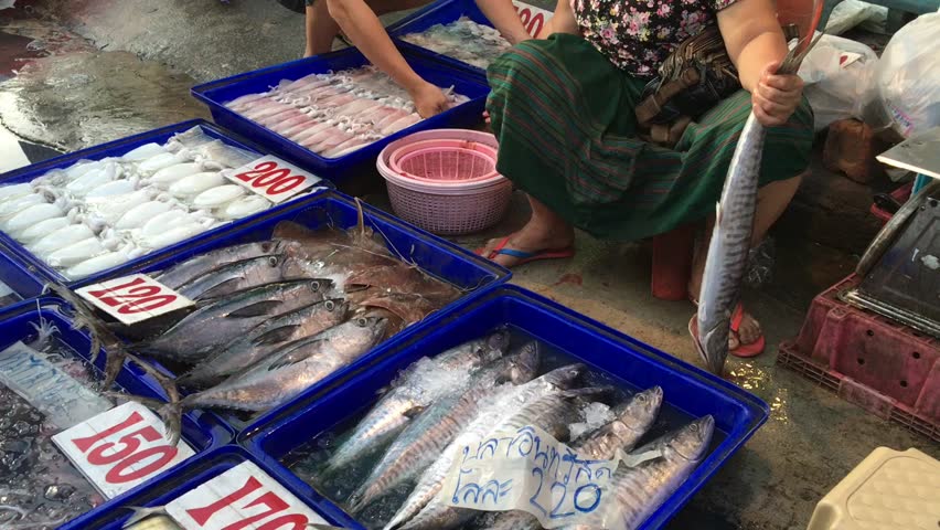 Sea food in market