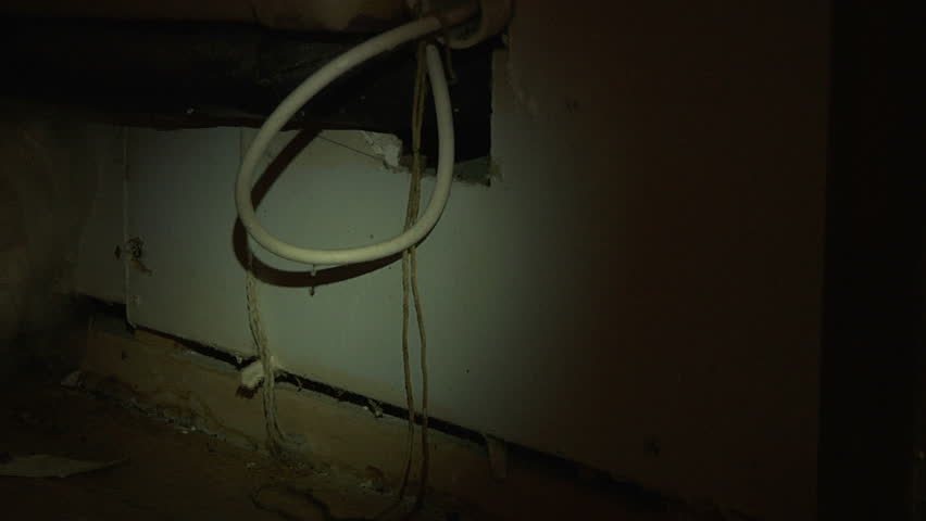 Pan left across rats indoors in darkness