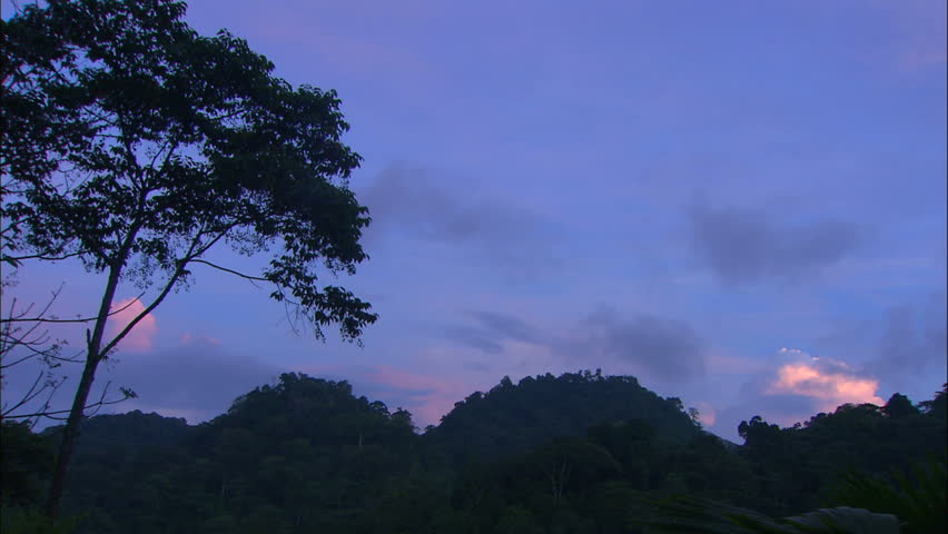 Timelapse of Pink Clouds Emerging in Blue Sky Over Jungle Canopy
