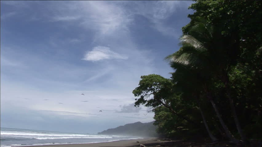 Idyllic Costa Rican Beach With Waves and Scarlet Macaws In Flight