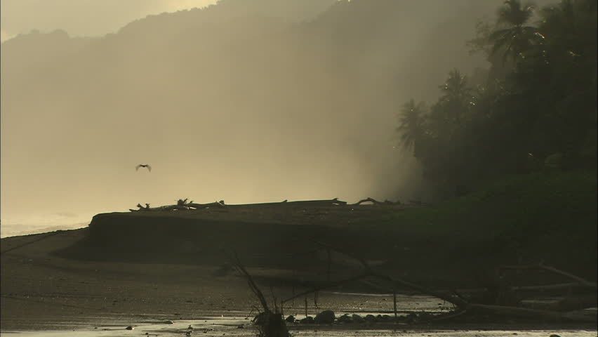 Misty Tropical Coastline At Sunrise