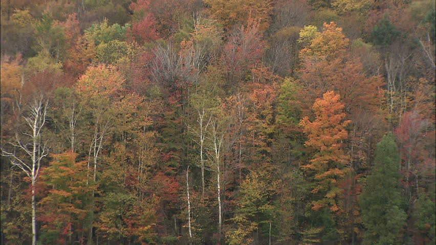 New England In Fall Establishing Shot