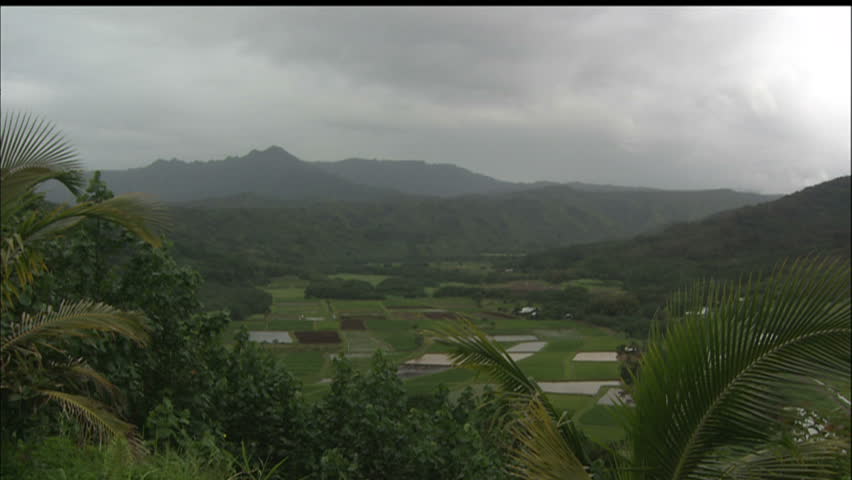 Lush Tropical Agricultural Land On Valley Floor, Surrounded By Mountains, Hawaii