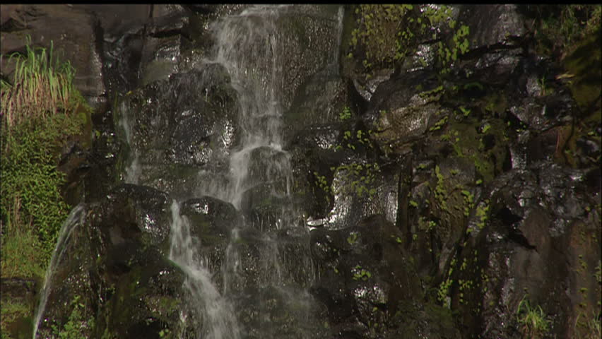 Water Trickling Down Mossy Rocks Close-Up, Hawaii