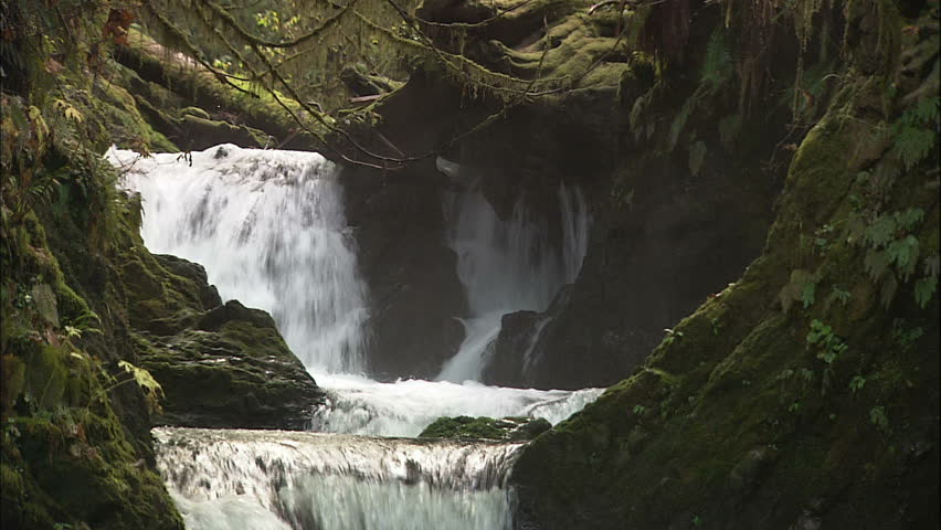 Pacific Northwest Salmon Spawning in Stream, Pull from Waterfall to Reveal
