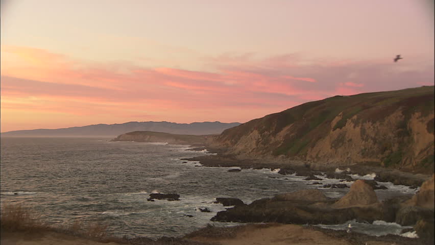 Rugged Sonoma Coast at Sunset With Seagulls Flying