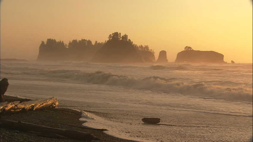 Pacific Coast Beach With Golden Light and Fog As Waves Hit shore