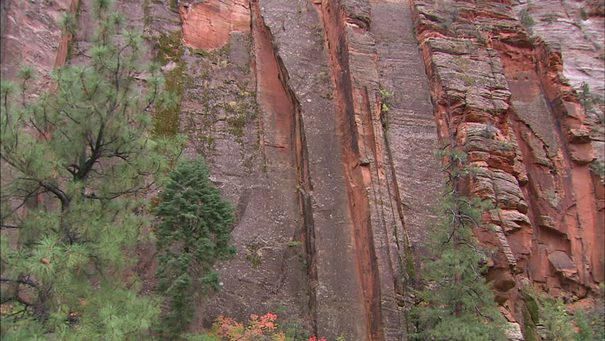 Red Cliffs Of Zion National Park In Fall