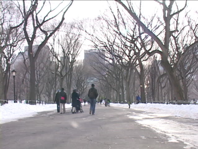 New Yorkers ice skate on a frozen lake in Central Park.