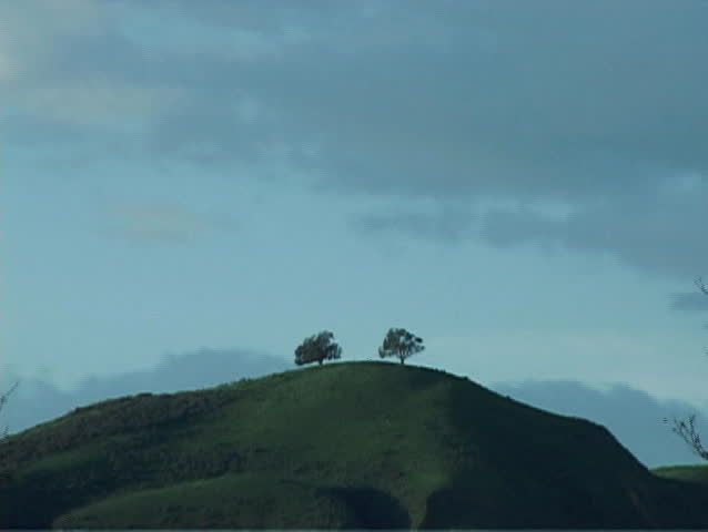 The silhouettes of two trees stand on a hill as the clouds rush over-head.