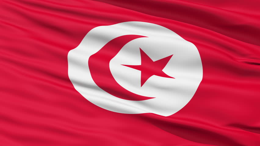 Realistic 3D detailed slow motion tunisia flag in the wind - seamless looping