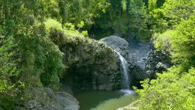 Drone Footage Akaka Falls Forest Hawaii Green Waterfall Nature Water Travel Beautiful Island Rainforest Environment Motion Tourism Rock 4K