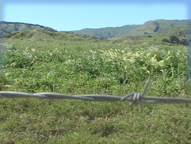 Close-up of a barbed-wire fence, with a beautiful mountain meadow in the background.