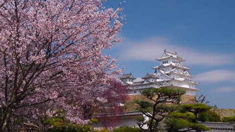 Himeji-jo castle in spring cherry blossoms, Japan Stockvideó