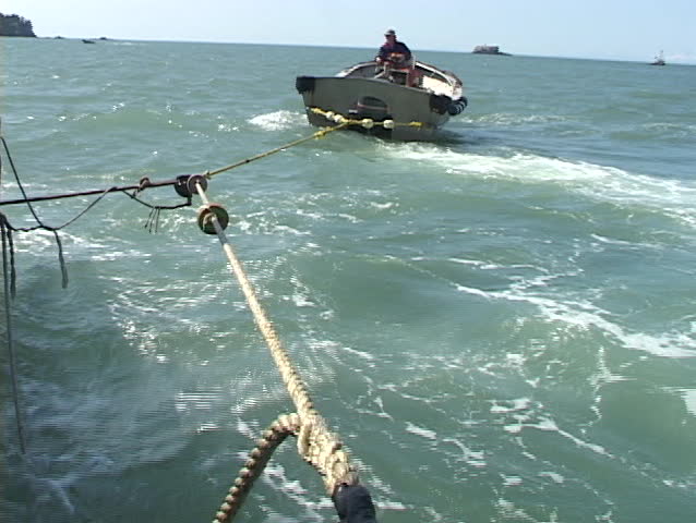 Fishermen search through a large net for any seafood catches.