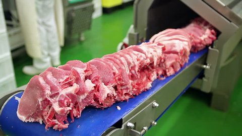 Fresh Raw Pork Chops in Meat Factory. Raw meat cuts on a industrial conveyor belt. Meat processing in food industry. Industrial meat cutting machine processing rib eye meat.