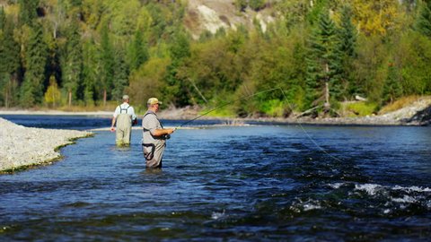 American fisherman wading in Wilderness river fly fishing USA