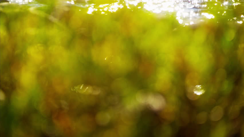 Rod and reel female casting line in freshwater river sunrise USA