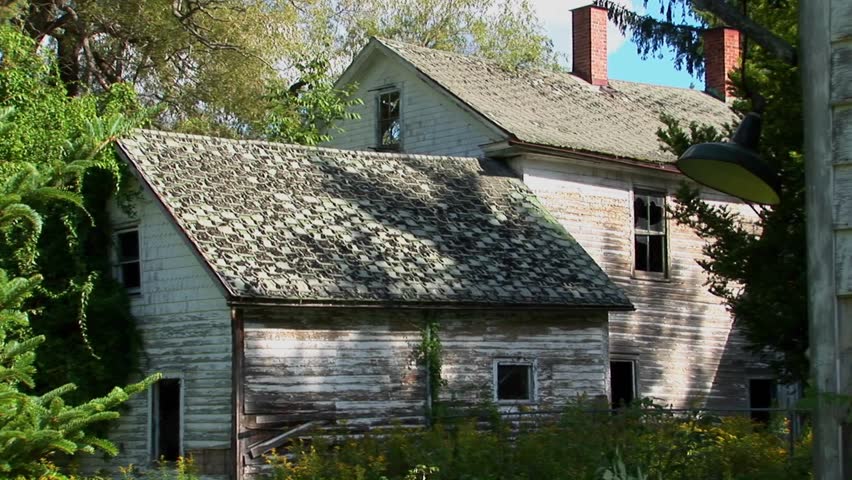An old abandoned house overgrown with trees and brush.