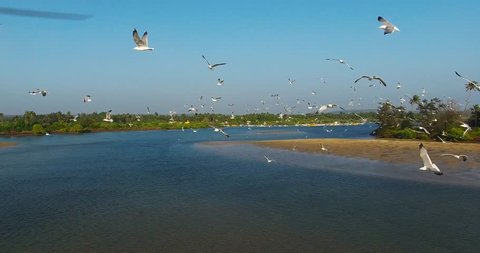 Goa,India 2016 Beautiful scenery on the rise phantom 3 professional 4k
above the sea
