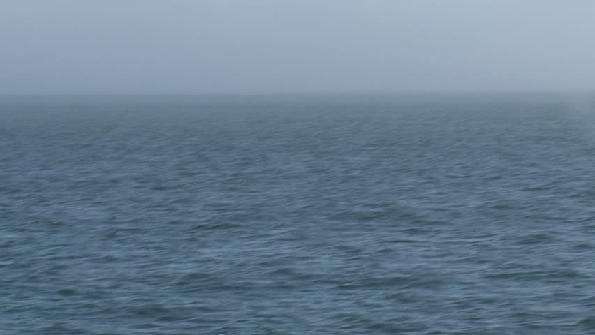 Orcas, Vancouver Island, Canada.