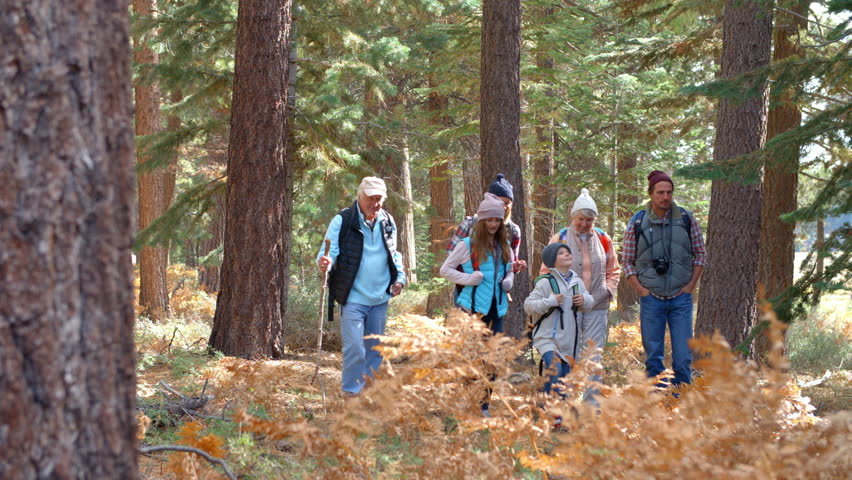 Panning shot of multi generation family walking in a forest