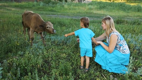 Mother with son feeding a cow