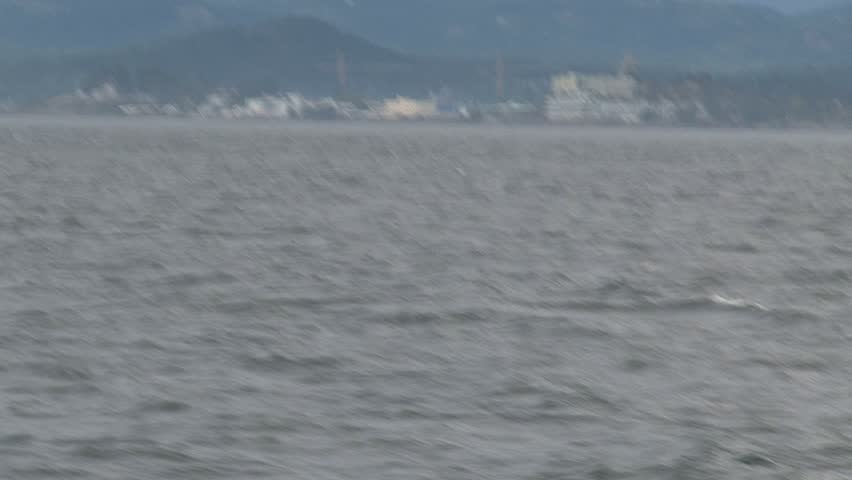 Orcas, Vancouver Island, Canada.