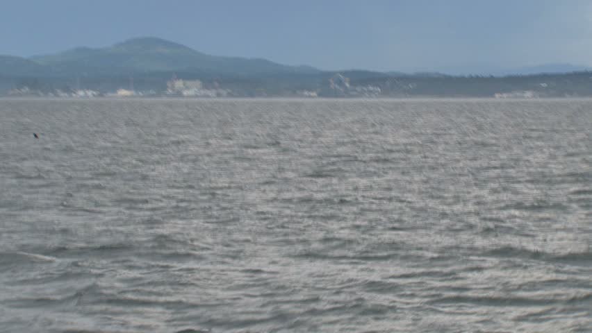 Orcas, Vancouver Island, Canada.