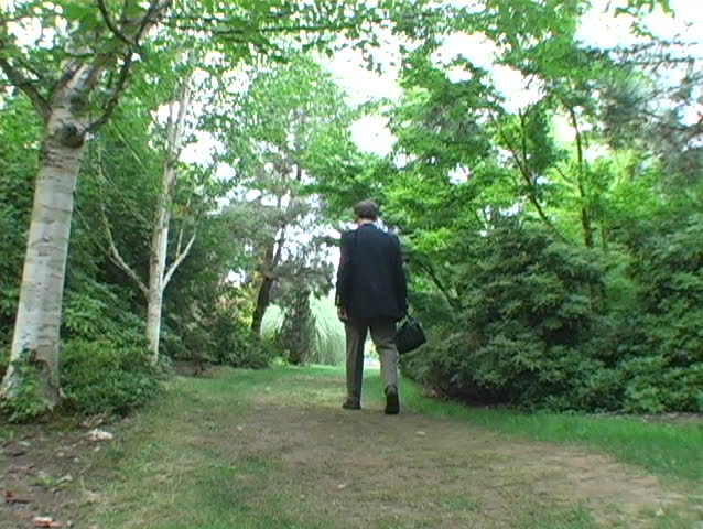 Business man strolls into nature.