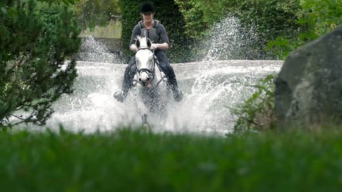 Gray horse jumps in water with woman in slowmotion
