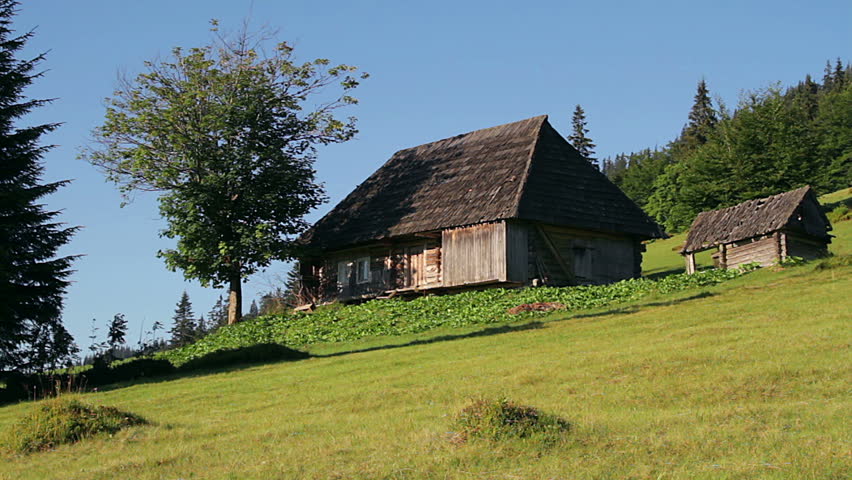 House and spruce in the mountains at dawn, Wooden house in the Carpathians mountains village, lonely house in the hills, Rural wooden house in the Carpathian mountains 