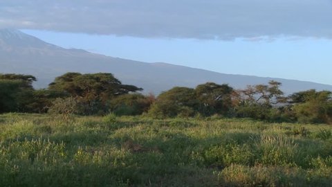 A beautiful panning morning shot of Mt. Kilimanjaro in Tanzania, East Africa.