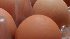 Fresh hen organic eggs in plastic box arranged in a row 4K 2160p 30fps UHD slow tilting footage - Eggbox plastic made  container with chicken eggs in line 4K 3840X2160 UltraHD tilt video
