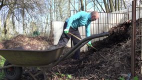 Farmer man with fork dig compost humus to rusty wheelbarrow barrow from big box in garden farm. Ground soil prepare works in spring. Organic eco waste use in agriculture. video clip.