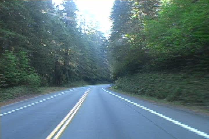 Speeding through the Highway of the Redwoods in Northen California. 