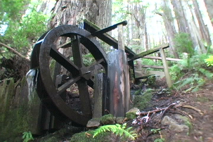 A water wheel in the redwood forest.