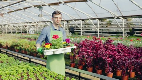 Happy gardener in a greenhouse holding flowers. Slow motion