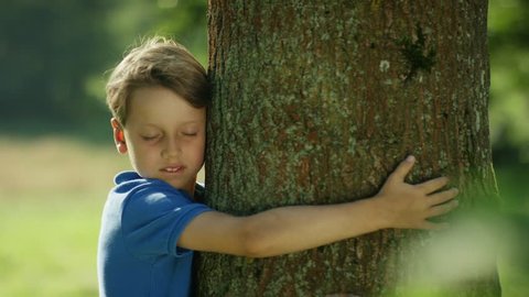 Child hugging tree  Video Stok