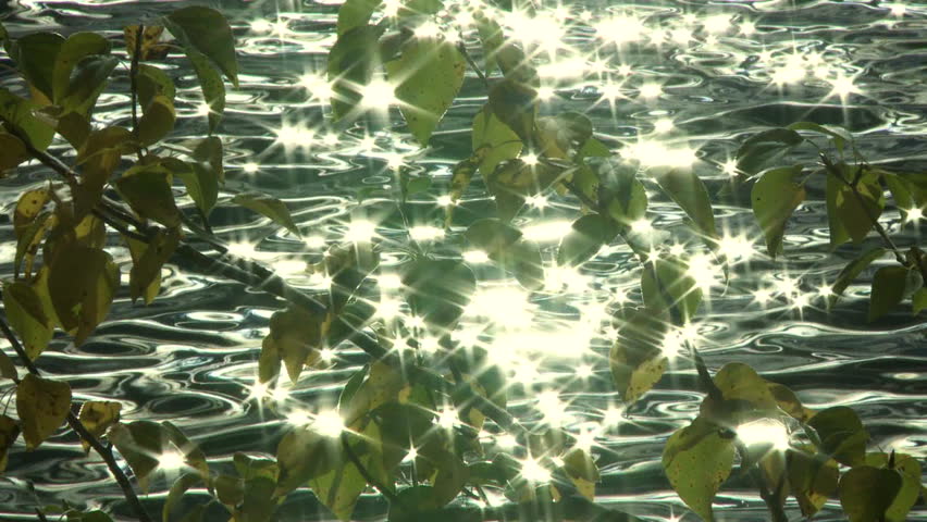 Sun reflecting on lake surface shining through autumn leaves