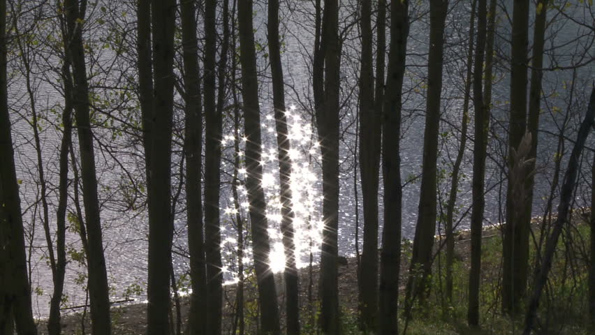 Autumn sun on lake shining through trees