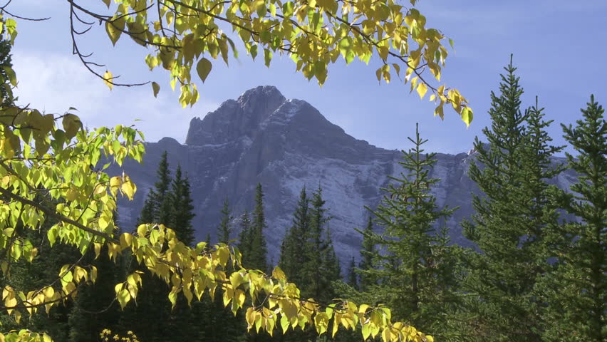 Fall colors and mountain peak