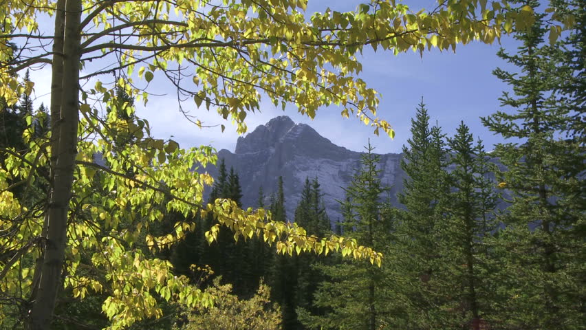 Fall colors and mountain peak
