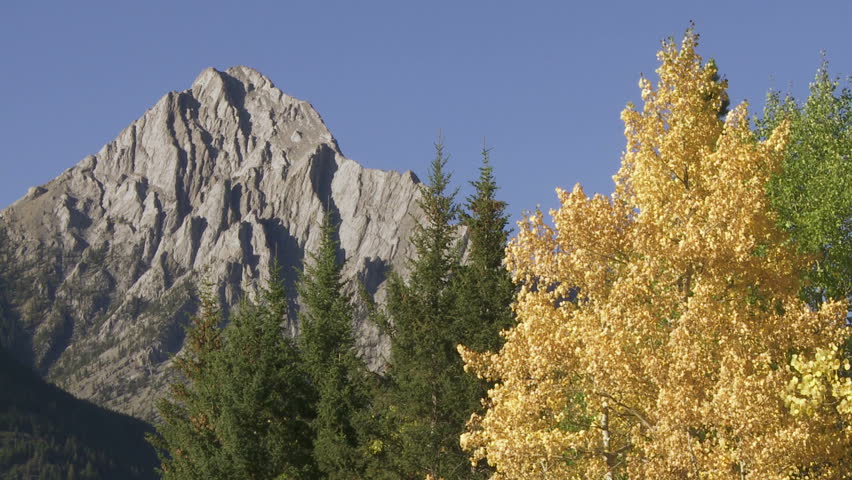 Fall color and Mount Lorette in the Canadian Rockies