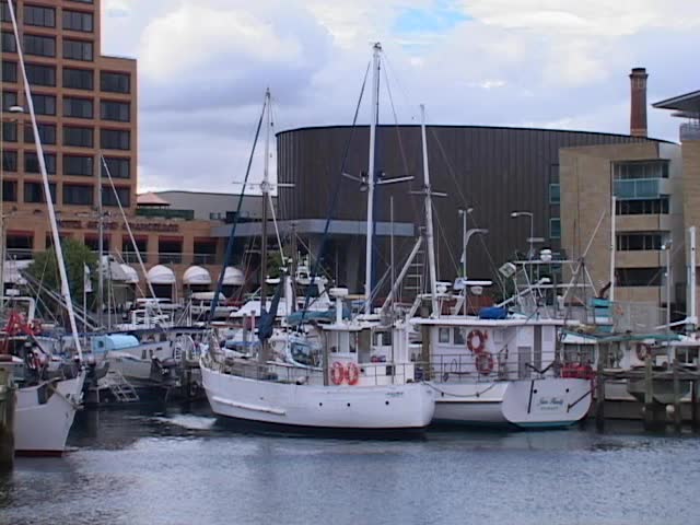 Boats floating in the harbor