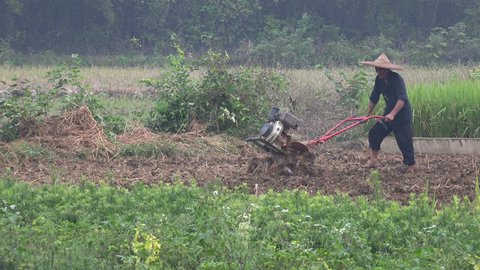 YANGSHUO, CHINA - 29 OCTOBER 2015: A farmer uses a motorized plow on a rice paddy field in rural China