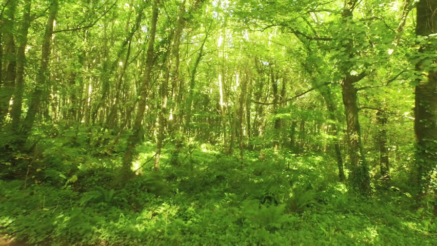Drone footage of peaceful countryside in high quality format | Shutterstock HD Video #14892361